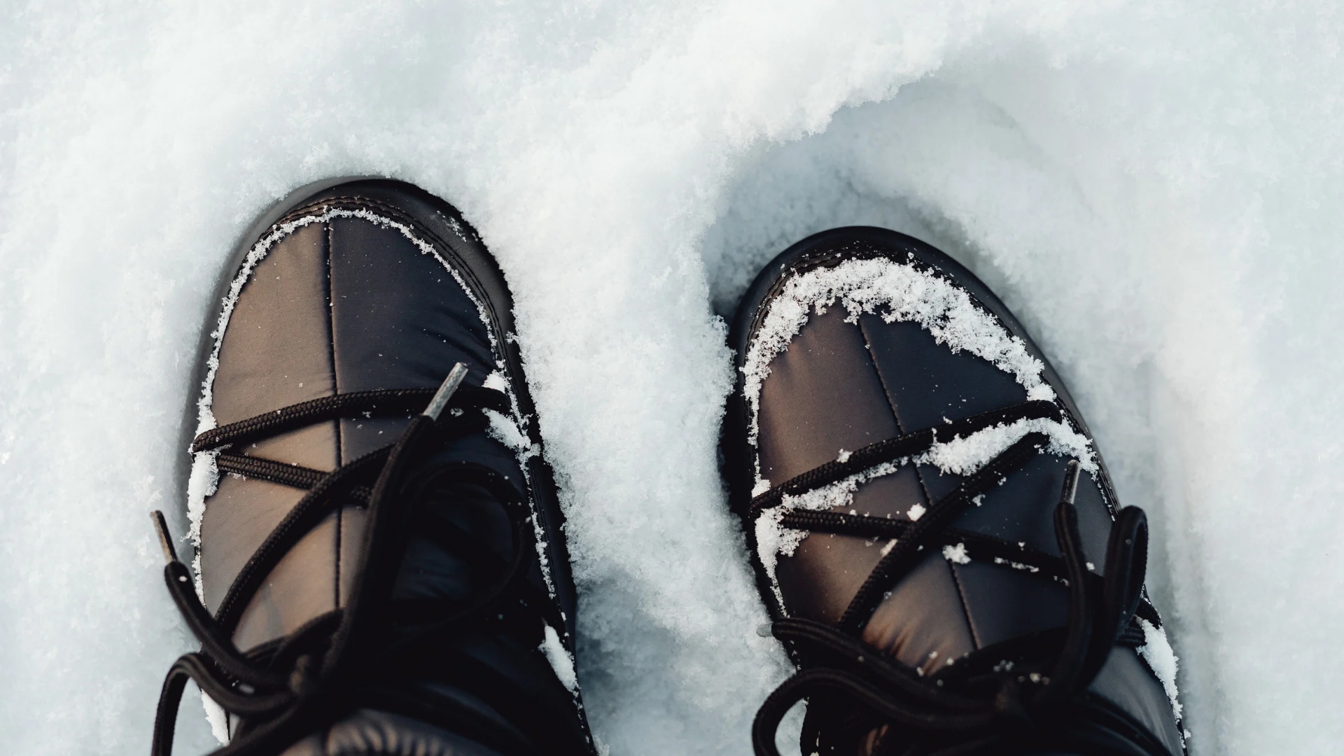 Walk & Talk macht Winterpause – wir treffen uns im Frühling wieder zum Spaziergang